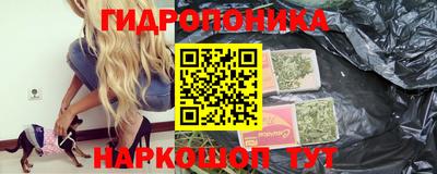 стафф Партизанск