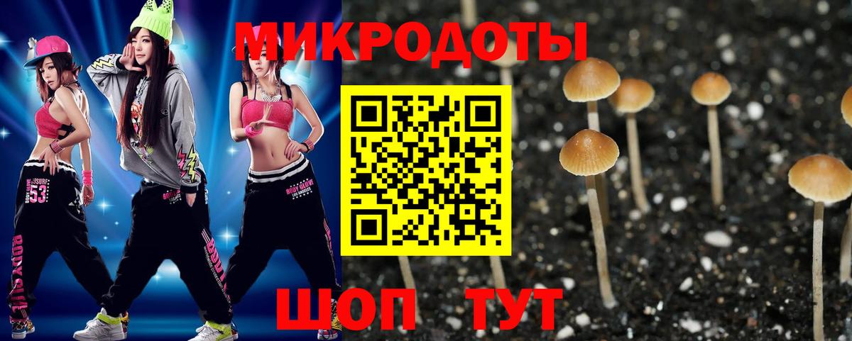 Россия  Галлюциногенные грибы Psilocybine cubensis  Вход с VPN 